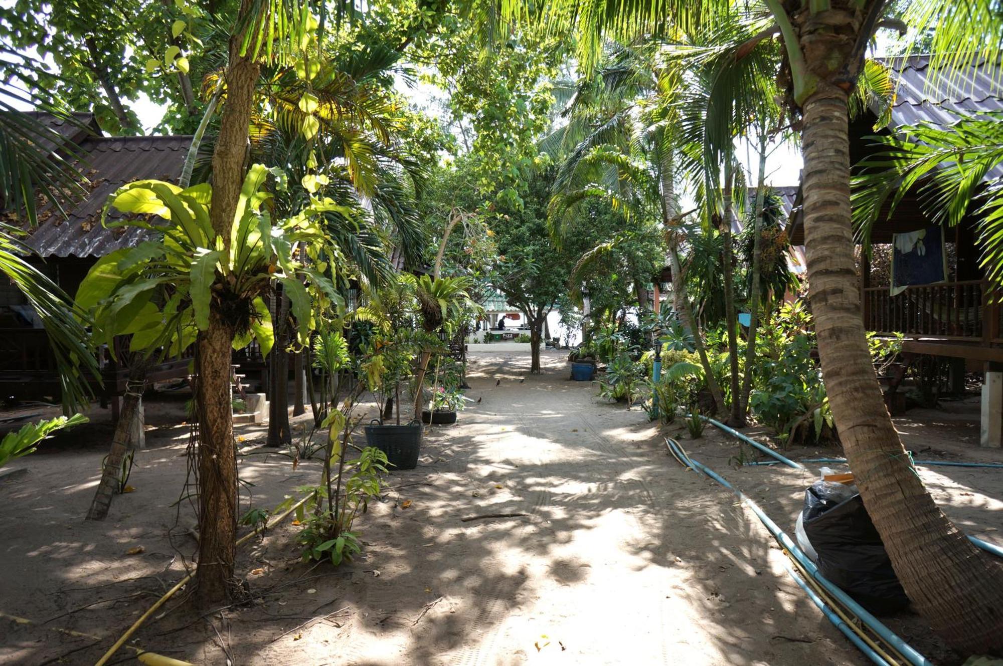Silver Sands Resort - 涛岛 外观 照片
